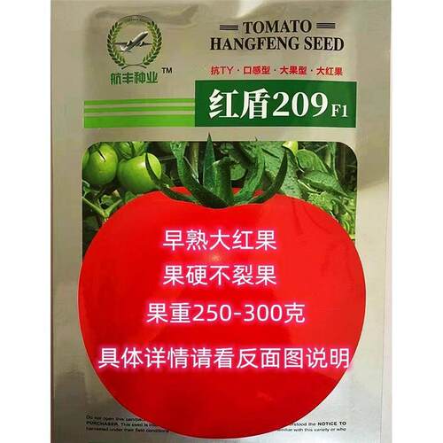 航丰种红盾2大红果QIW番茄种子口9感型大果型抗病高产抗业TY春0秋