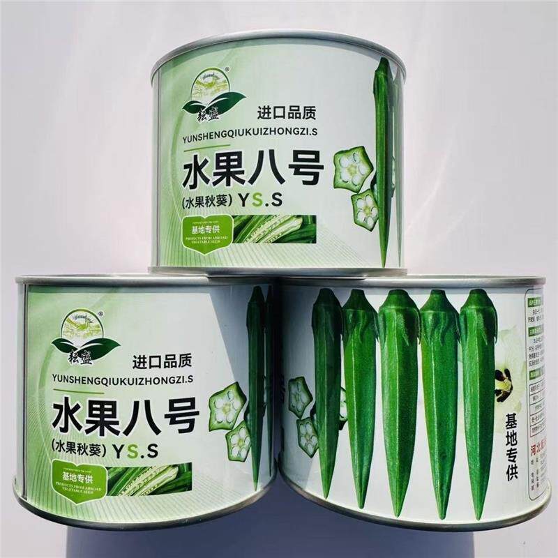 油绿一号水果秋葵种子四季播种秋葵籽采收期长高产易种特色蔬菜籽