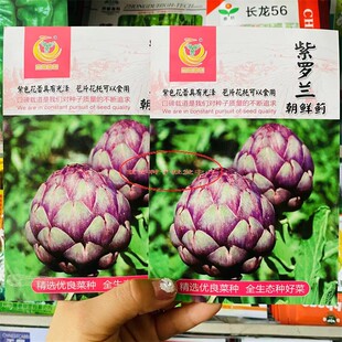 凤鸣雅世紫罗兰朝鲜蓟、绿球朝鲜蓟种子法国百合皮厚坚硬原装5粒