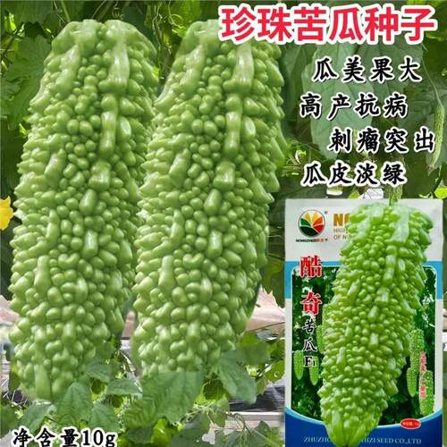 农之子酷奇苦瓜种子春秋播种高产抗病耐热露地保护地栽培白苦瓜孑