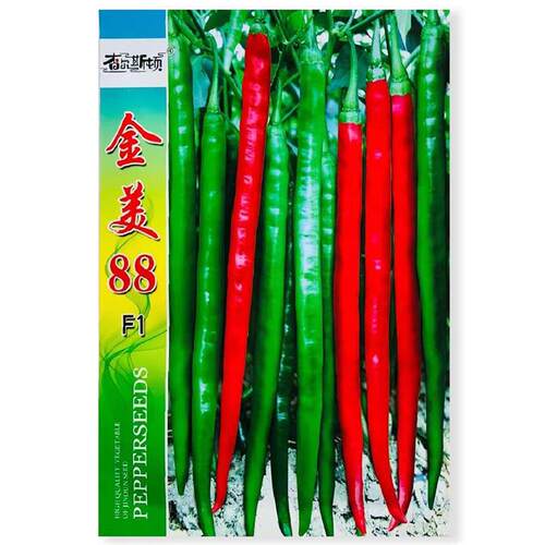 金美8蔬菜8种ABW子种长线椒椒种孑早熟高产特辣抗病条顺直大田用