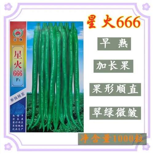 星火荆666辣椒种子红椒特长二条高产抗病薄皮香椒辣金二条OHO线种