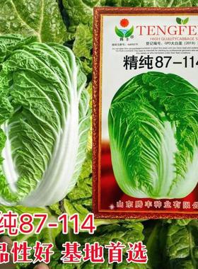 精纯87种-114大白菜一代杂交子抗病性强品质产量高耐储存佳秋NDF