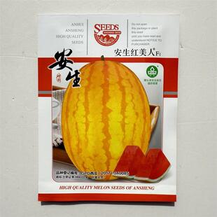 安生红美人鲜食杂交早熟正宗黄皮红瓤西瓜种子易坐果果皮坚韧正品