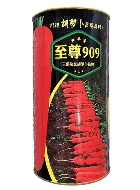 至尊909NVZ三系杂交早熟胡抗萝卜种子耐用寒耐热抽苔感甜口脆基地