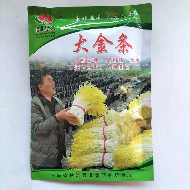 南北绿久大金条韭黄种子耐寒耐热韭菜种籽叶宽直立抗倒高产抗病LT