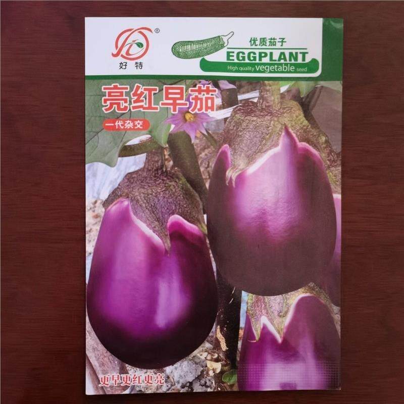 好特亮红早茄早熟圆茄子种子抗性好耐寒性好采收期长产量高原装5g