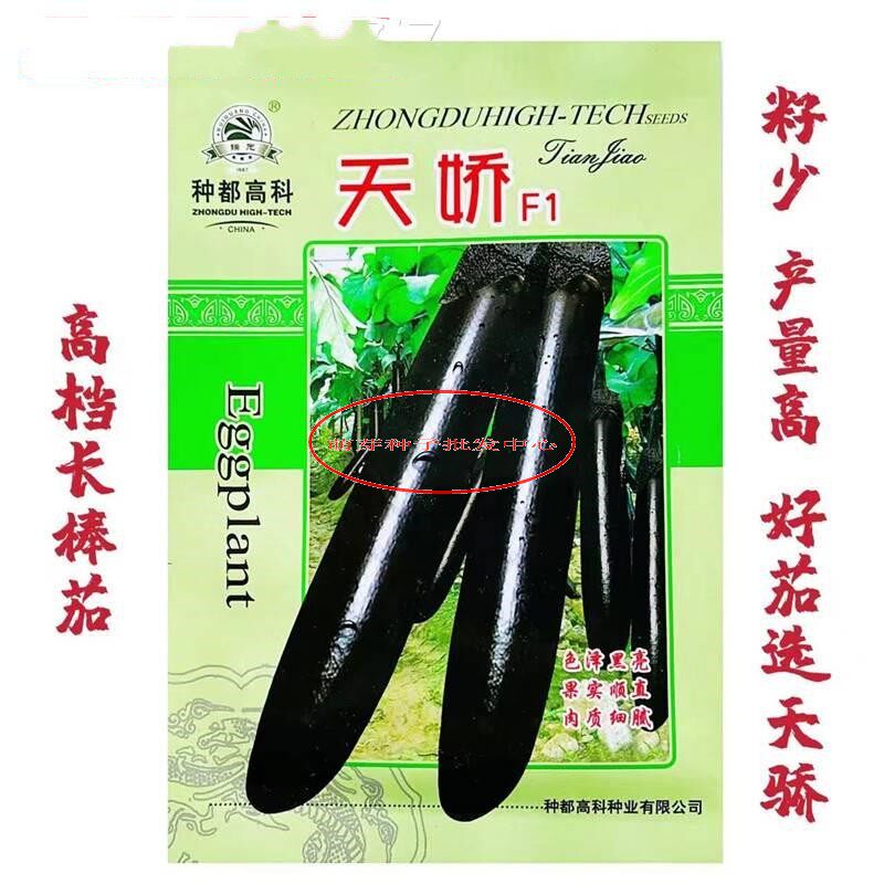 天娇紫黑长茄种子墨杰克长茄种线茄子种子露天大棚四季蔬菜籽盆栽