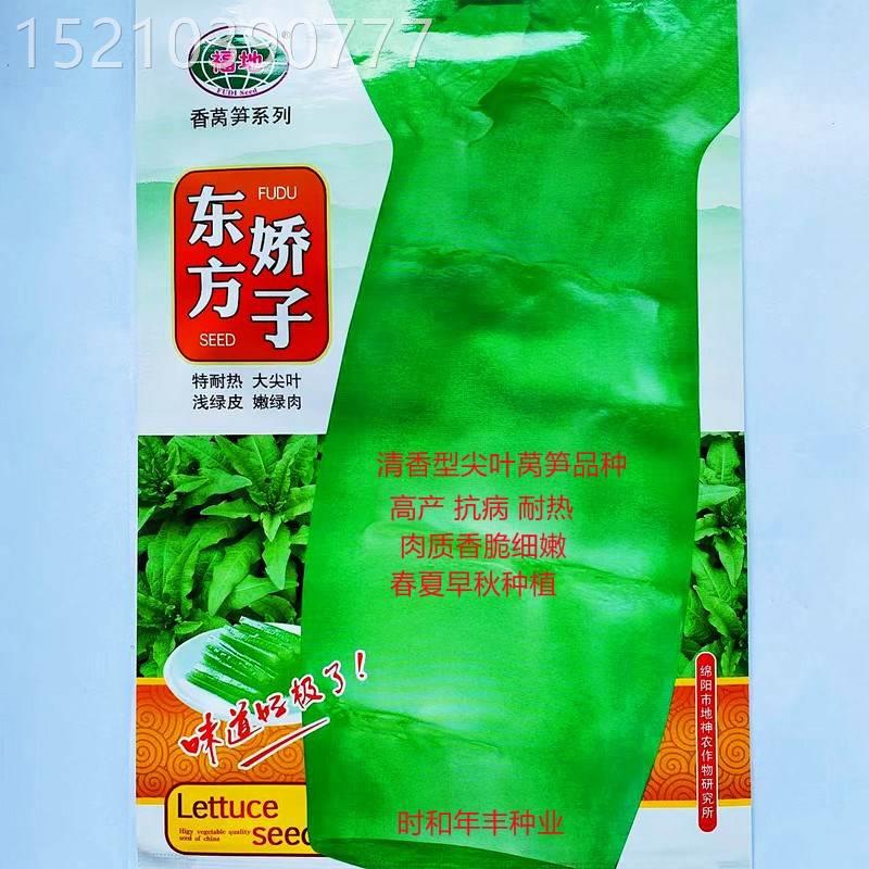 东方娇子耐热香莴笋种子高产抗病尖叶莴苣种籽农家春夏秋季蔬菜种