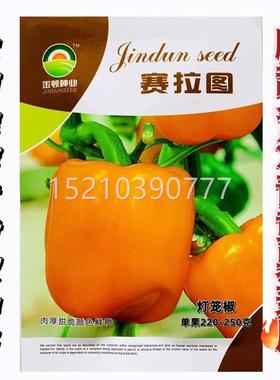 OGF赛拉图黄色甜椒种子灯笼椒阳台四季彩椒蔬菜种籽农家春秋辣椒