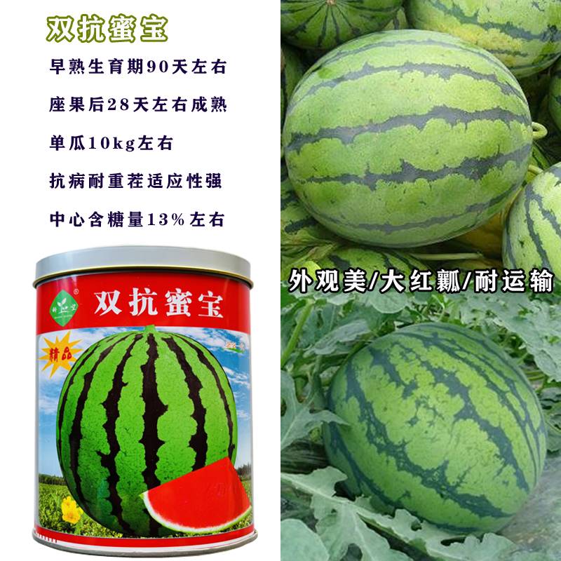 科乐双抗蜜宝西瓜种子高糖大果早熟高产抗病耐重茬农家春秋播精选