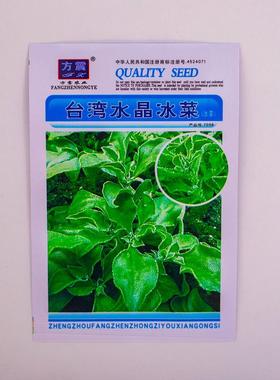 瓜种子JEW盆栽草莓 大叶罗勒 汉堡菜 特红金宝 金癞 七彩椒红色网