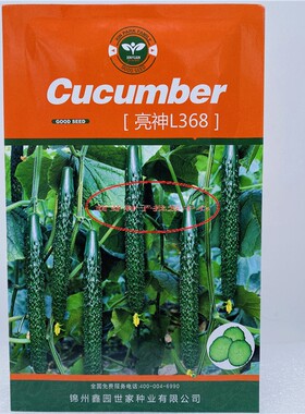 亮神L368亮神短尊油亮黄瓜种子密刺高产抗病优质春秋露地大棚种植