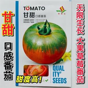 甘甜无限生长型大果草莓番茄种子抗病强甜度高口感好早春晚秋种植
