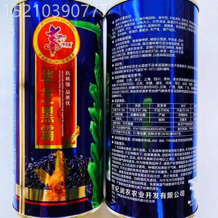 华芝黑CQX霸种子中熟高产含油院高大用田种夏种播庭植优质黑芝麻