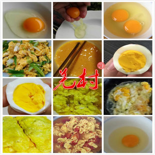 《净土阿坝》阿坝州汶川特产农家散养正宗新鲜土鸡蛋30枚包邮