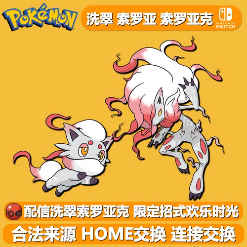 6V配信洗翠索罗亚克宝可梦朱紫