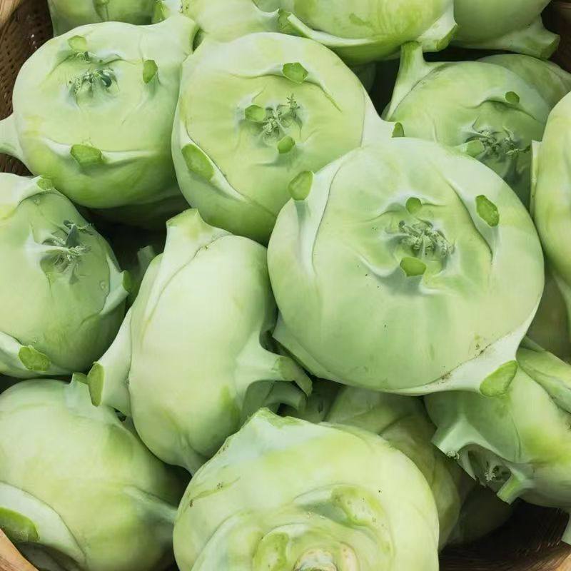 云南无筋苤蓝新鲜大头菜疙瘩芥蓝农家自种优质鲜蔬菜产地现摘现发
