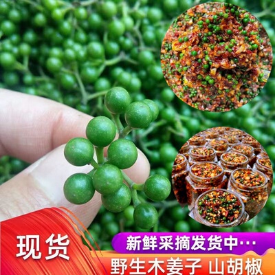 云南野生木姜子新鲜现摘山胡椒鲜