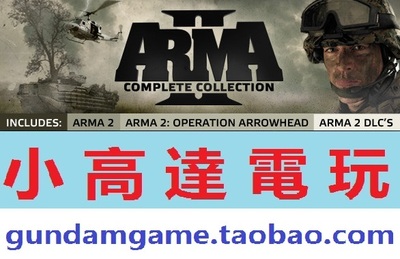 PC正版/武装突袭2:完整版/Arma 2: Complete Collection/支持DayZ