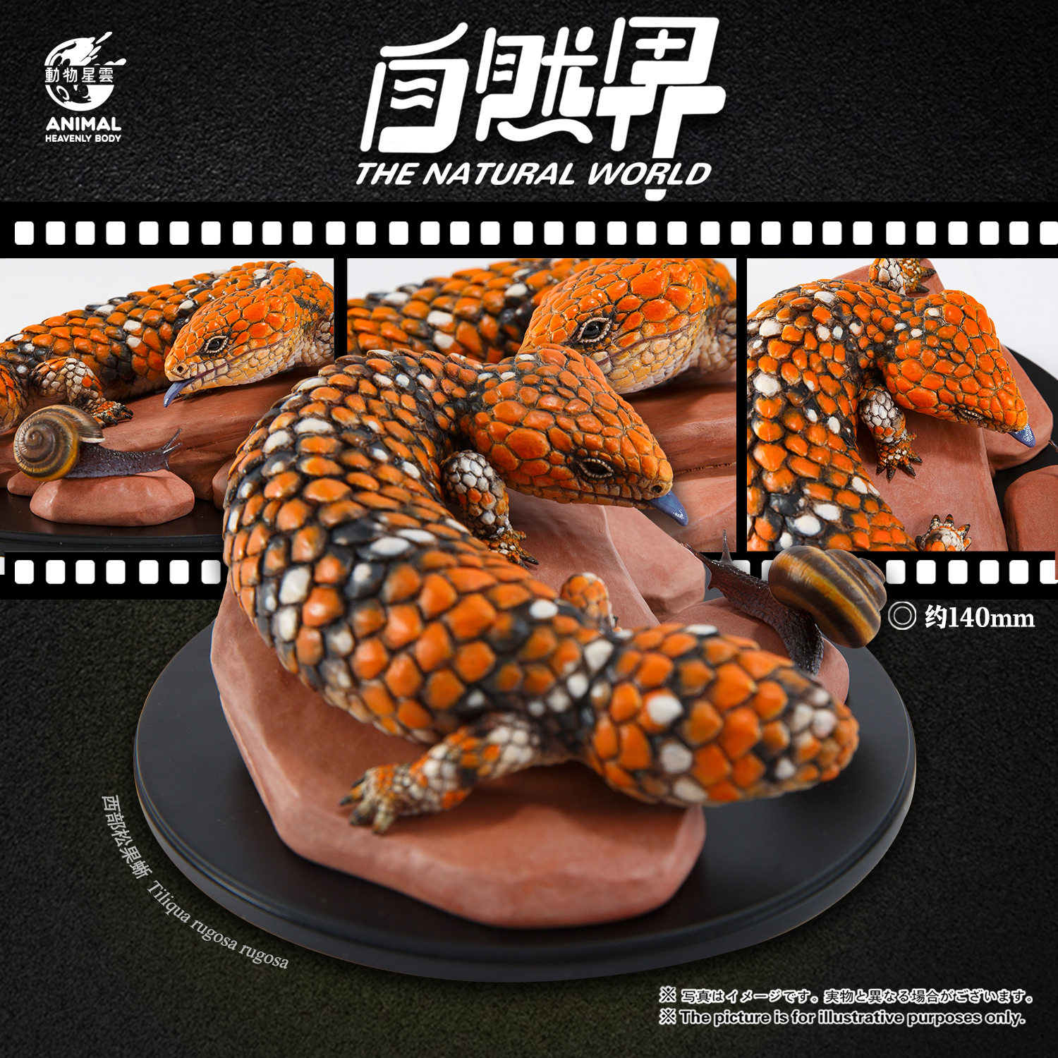【定金预售】动物星云 写实版自然界系列第五弹 西部松果蜥 手办