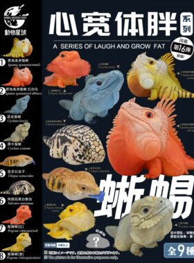 动物星云现货心宽体胖爬宠可爱