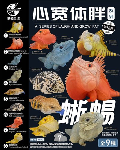 动物星云现货心宽体胖爬宠可爱