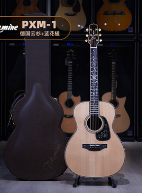 日本takaminepxm1电箱吉他