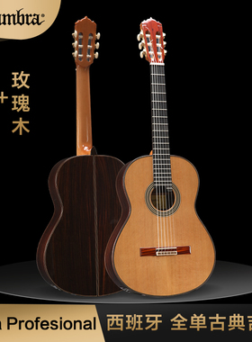 西班牙 Alhambra 阿尔罕布拉 Linea Profesional 全单古典吉他