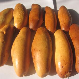 烤馒头烤干馍临县三交干馍馍长条馍手工烤花卷小馒头烤馍儿童早餐