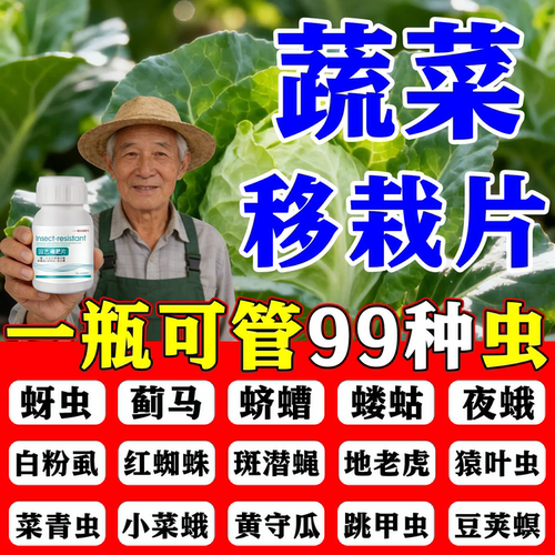 蔬菜移栽片除地下害虫专用秧苗预防粉虱红蜘蛛菜青夜蛾蚜虫硼肥药