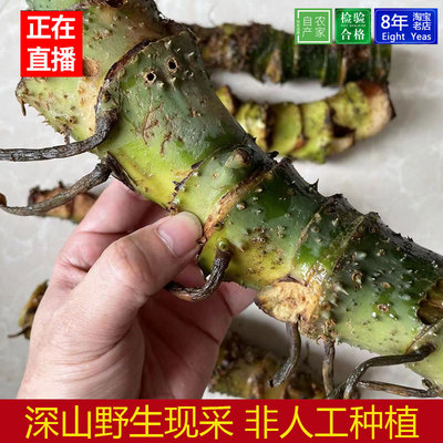 现挖新鲜天河芋汤料毒湿水刺芋