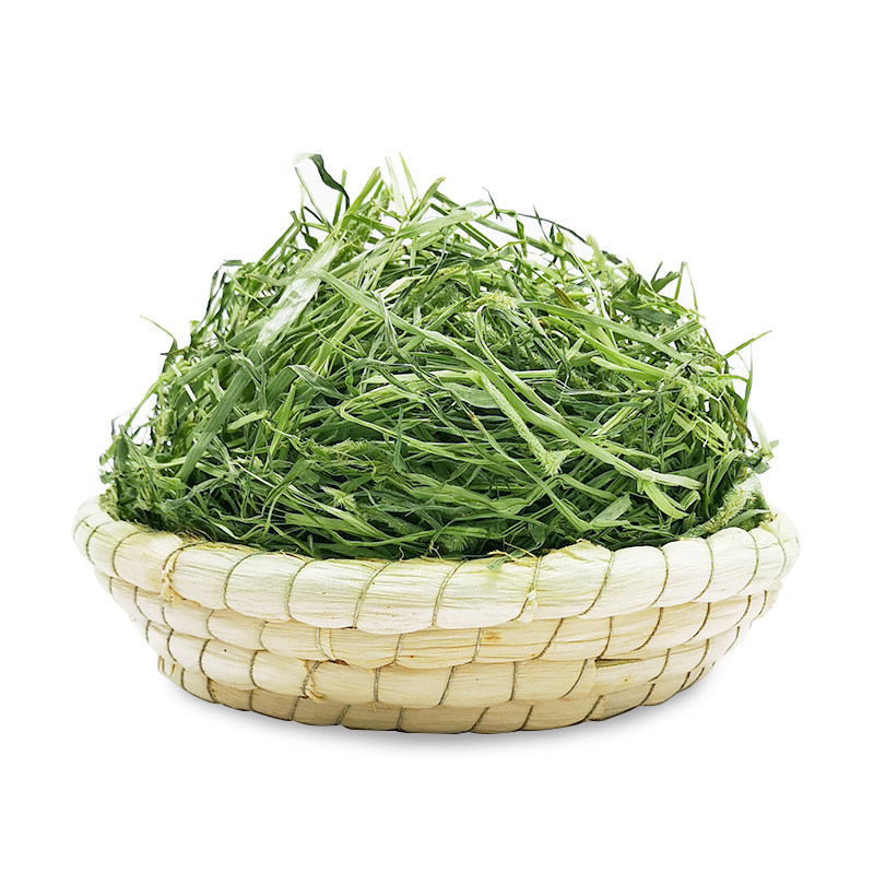 2025新草提摩西草干草500g兔子龙猫饲料豚鼠粮食甘肃北提兔子草粮