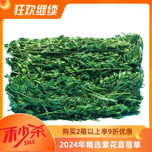 大量上市兔子干草紫花苜蓿