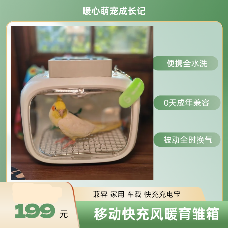 暖心萌宠成长记智能恒温零天鹦鹉PID风暖保温育雏箱车载电池便携