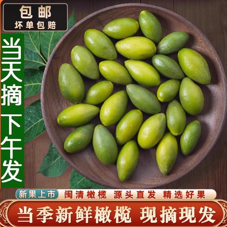 当季采摘闽清新鲜橄榄