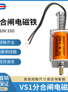 VS1分合闸线圈 ZN63分合闸电磁铁 DC110V 33欧 引线 支持非标定制