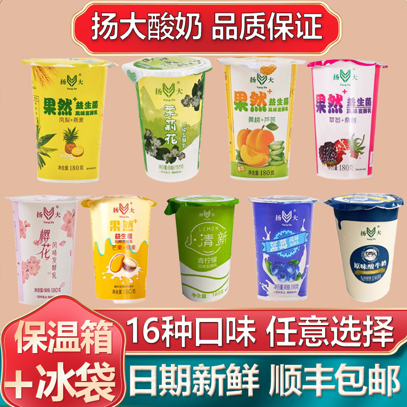 扬大酸奶扬州特产网红茉莉花樱花小苹果草莓凤梨扬州大学休闲饮品