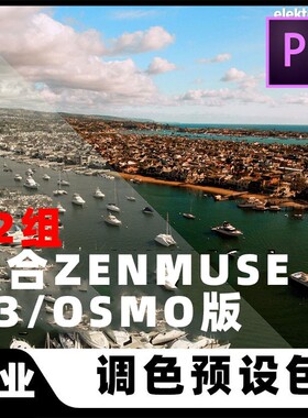 专用DJI大疆ZENMUSE X3/OSMO版D-LOG调色LUTS电影色调滤镜预设PR