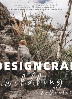 大师级Lightroom预设Wildling室内室外温暖人像风景婚礼LR滤镜PS