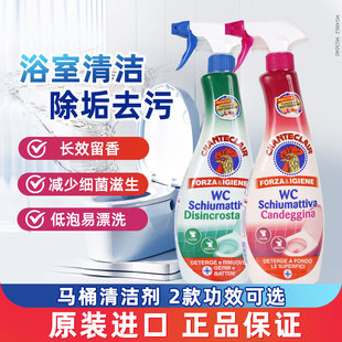 大公鸡管家马桶清洗剂洁厕灵浴室厕所清洁剂强力除垢除臭洁厕液