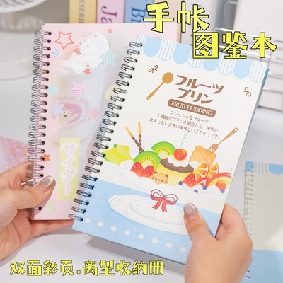 图鉴本A5原创彩页手帐素材收纳册