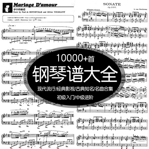 钢琴电子琴谱曲谱五线谱乐谱双手简谱学习音声乐教材电子版可打印