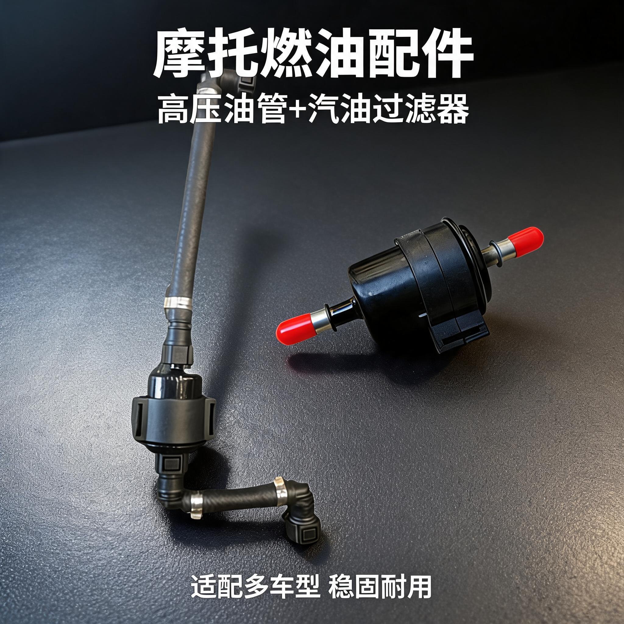 小忍者V6摩托车跑车燃油精滤器火牙蛟龙魔影魅影汽油过滤器H2滤芯