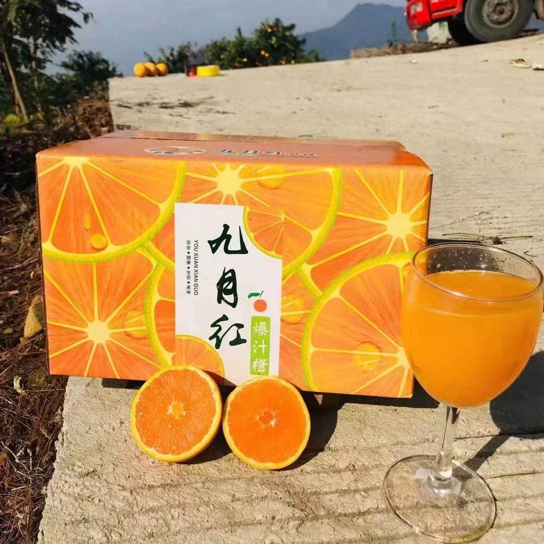 正宗九月红橙子 秭归脐橙现摘新鲜水果整箱当季榨汁宝宝橙果冻橙