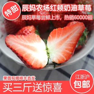 草莓新鲜奶油草莓现摘草莓日本红颊草莓牛奶草莓建德草莓3斤顺丰