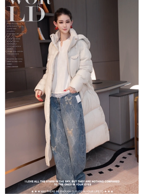 【光海漫屿】鹅绒服外套 长款连帽宽松DLFS099款113cm 750g