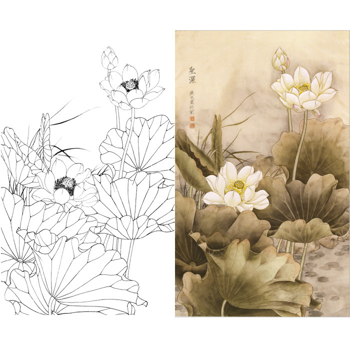 工笔画荷花白描底稿国画花鸟线描稿宣纸底稿临摹勾线练习打印稿画