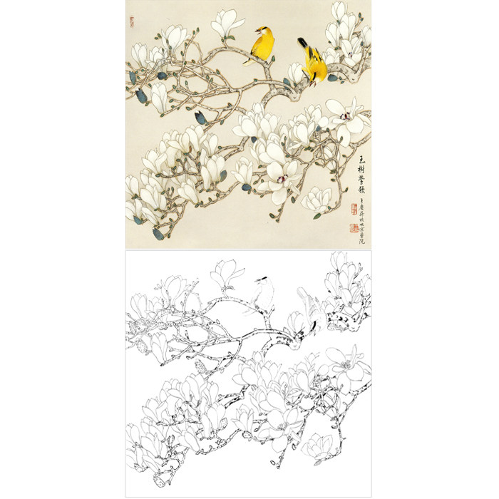 工笔画玉兰花鸟画白描底稿国画植物花卉线描稿临摹勾线练习打印稿