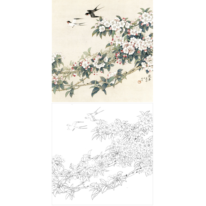 工笔画樱花燕子白描底稿国画线描花鸟底稿临摹勾线练习画稿打印稿